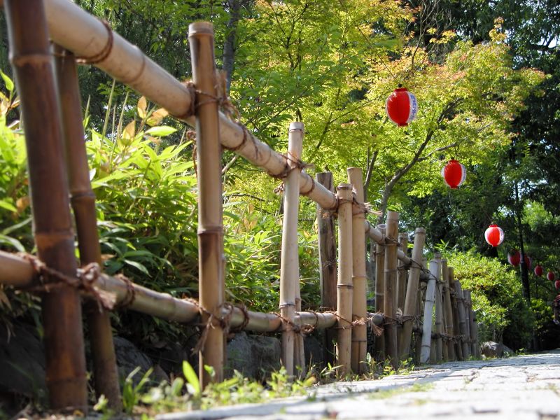 Bamboo Fence